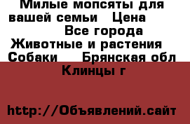 Милые мопсяты для вашей семьи › Цена ­ 20 000 - Все города Животные и растения » Собаки   . Брянская обл.,Клинцы г.